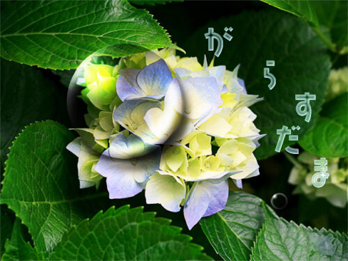 PhotoShopでガラス玉
使用ツール:PhotoShop
所要時間:3時間