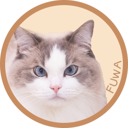 猫/フワ
