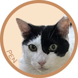 猫/ペン